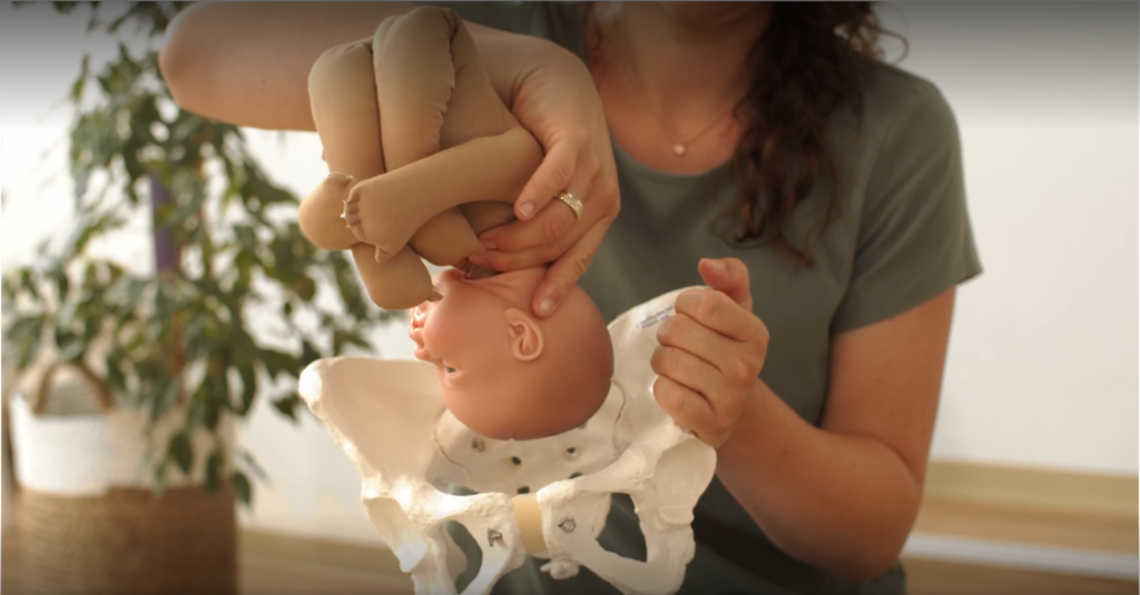 Ausschnitte des Online Geburtsvorbereitungs-Kurses von Informed Motherhood, Modul 1